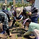 http://www.cityfarmnews.com/data/editor/2306/thumb-403062b8e087513e806a5fe1d448176f_1685887696_6777_80x80.jpg