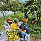 http://www.cityfarmnews.com/data/editor/2402/thumb-ba23ada0ebec0482d6c5b0a9792b03c7_1709011180_9621_80x80.jpg