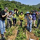 http://www.cityfarmnews.com/data/editor/2411/thumb-764587f4e845072c54463317e59bfeba_1730776356_7699_80x80.jpg